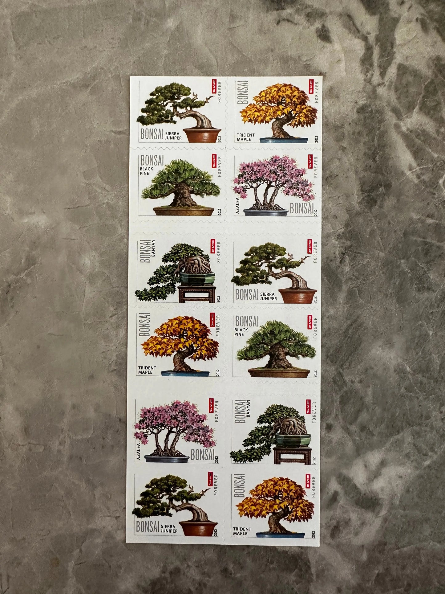 USPS Bonsai Tree Forever First Class Postage Stamps USPS