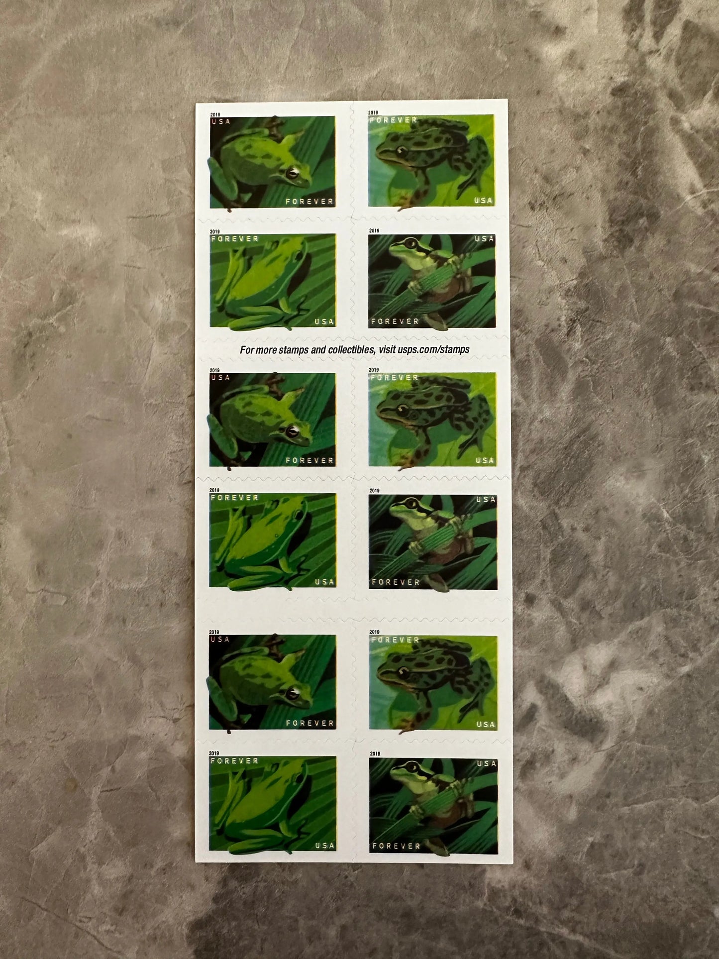 USPS Frogs Forever First Class Postage Stamps USPS