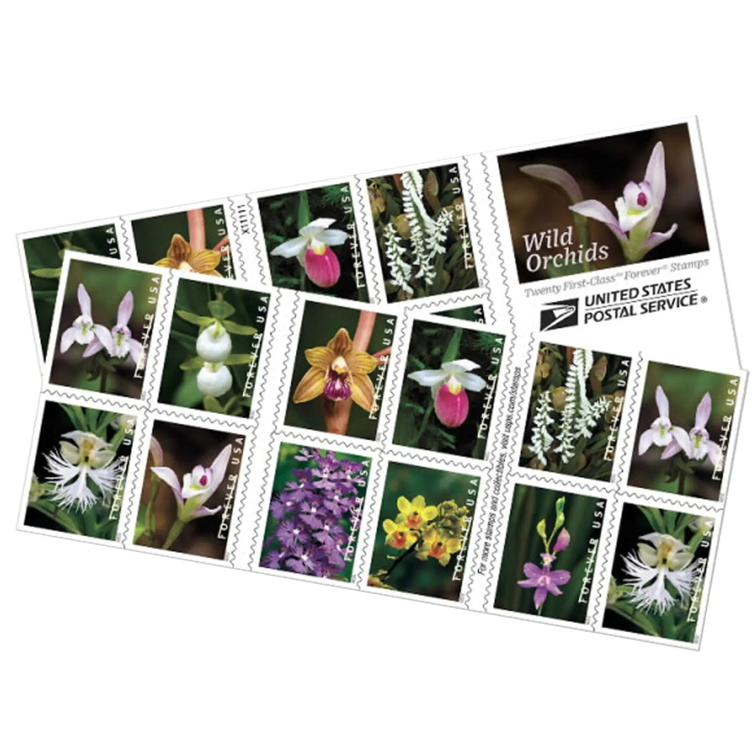Postage Stamps Guide: Using Garden Delights Forever Stamps Everyday