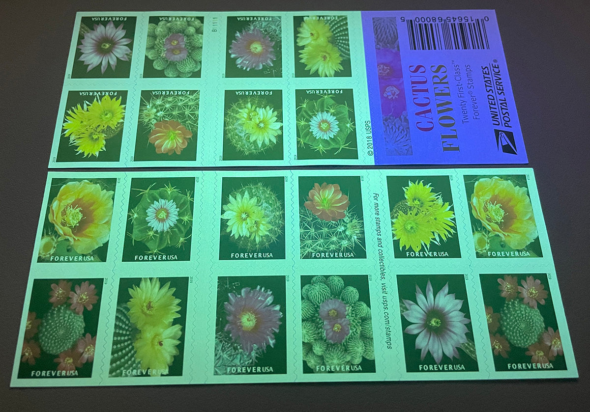 Cactus Flowers Forever Postage Stamps