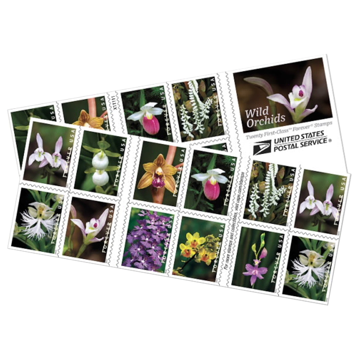 Wild Orchids Forever Postage Stamps