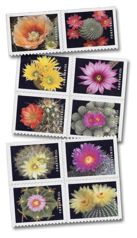 Cactus Flowers Forever Postage Stamps