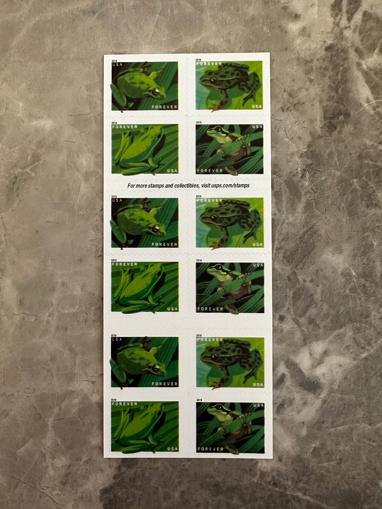 USPS Frogs Forever First Class Postage Stamps