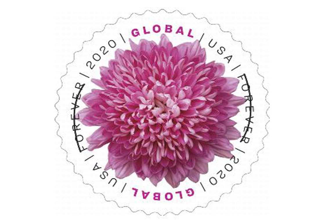 Global Chrysanthemum Global International Forever Postage Stamps