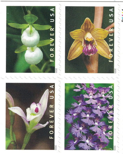 Wild Orchids Forever Postage Stamps